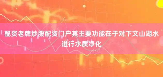 配资老牌炒股配资门户其主要功能在于对下文山湖水进行水质净化